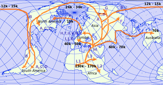 Human mtDNA migration_openfree.png