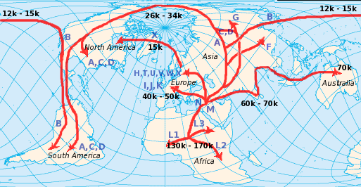 Human_mtDNA_migration.png