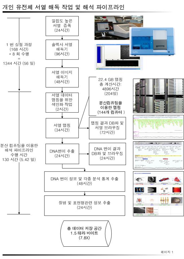 Genome pipeline.jpg