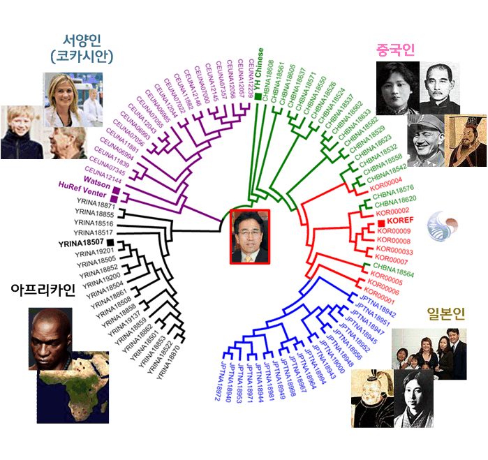 Genome star tree.png